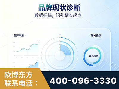 汉川-品牌现状诊断