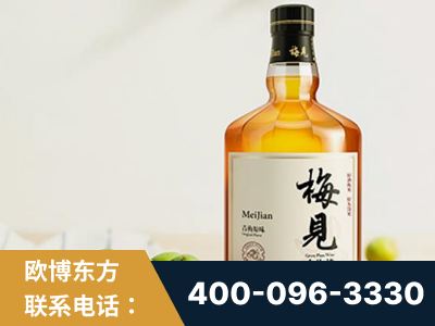汉川-梅见青梅酒